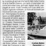 Foto-papa-70662