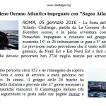canotaggio